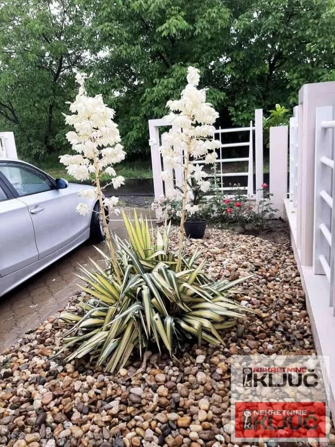 Rent, house, 225m², Veternik, Novi Sad Sve Podlokacije