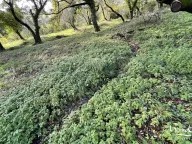 Sale, land lot, 3m², Kavač, Kotor - image 5