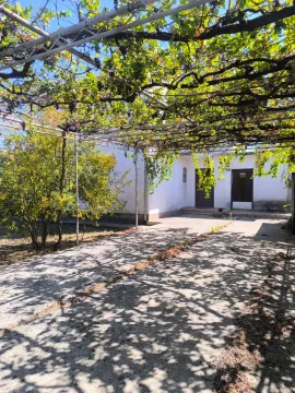 Dvorište kuće sa vinovom lozom i betonskom stazom. - image 2