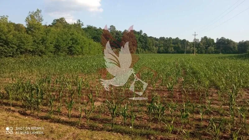 Prodaja, plac, 18200m², Sopot, Beograd