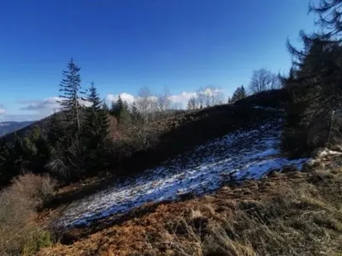 Sale, land lot, 4390m², Tara, Srbija - image 8