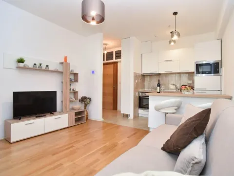 Prodaja, jednosoban stan, 44m², Budva, Crna Gora - image 3