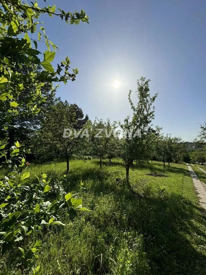 Prodaja, plac, 1600m², Sremska Kamenica, Petrovaradin