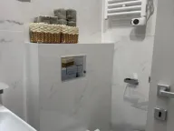 Izdavanje, jednosoban stan, 40m², Central Point, Podgorica - image 9