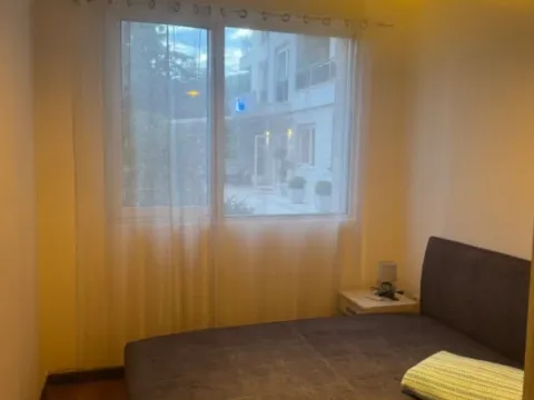 Rent, apartment, 35m², Velji Vinogradi, Budva - image 4