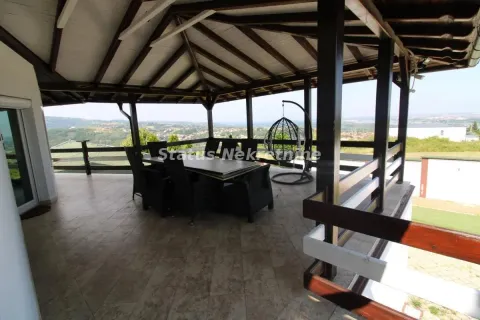 Prodaja, kuća, 354m², Ledinci, Petrovaradin - image 5