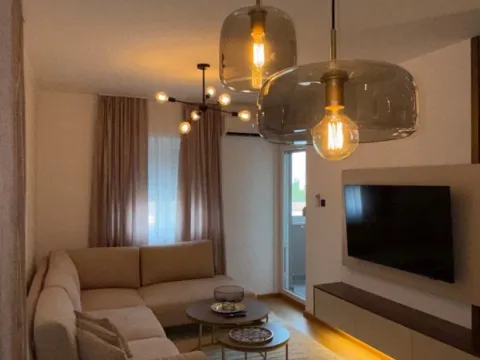 Rent, one bedroom apartment, 45m², Zabjelo, Podgorica - image 9