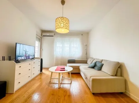 Rent, one bedroom apartment, 49m², Central Point, Podgorica - image 1