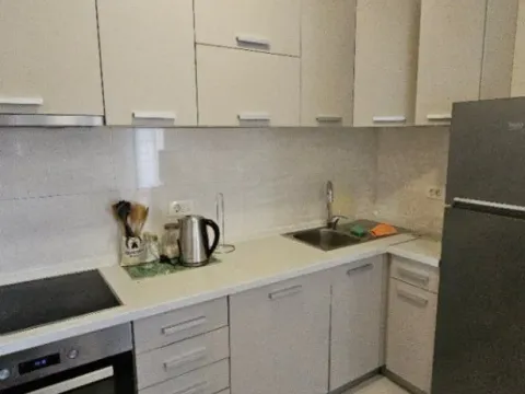 Izdavanje, jednosoban stan, 49m², Central Point, Podgorica - image 2