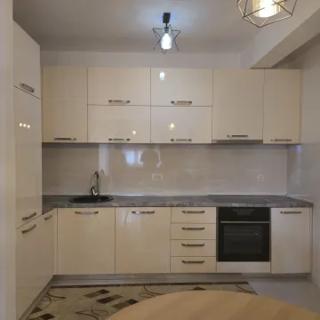 Izdavanje, jednosoban stan, 54m², Central Point, Podgorica - image 10