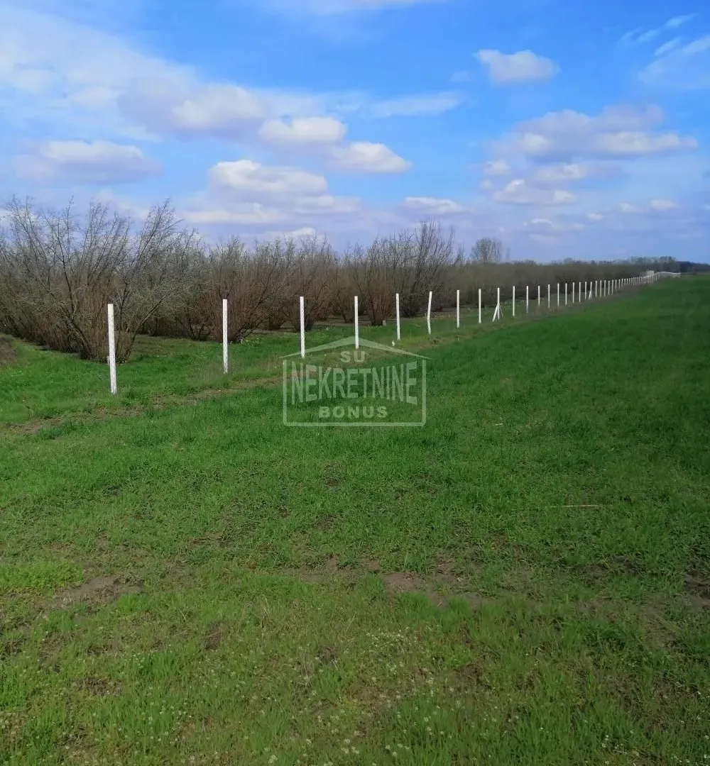 Prodaja,  zemljište, 46720m2, Bački Vinogradi, Subotica