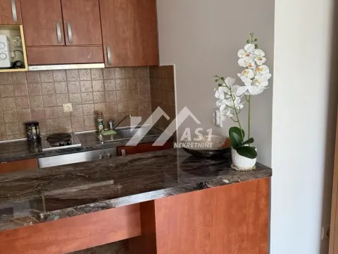 Izdavanje, jednosoban stan, 40m², Centar, Novi Sad - image 6