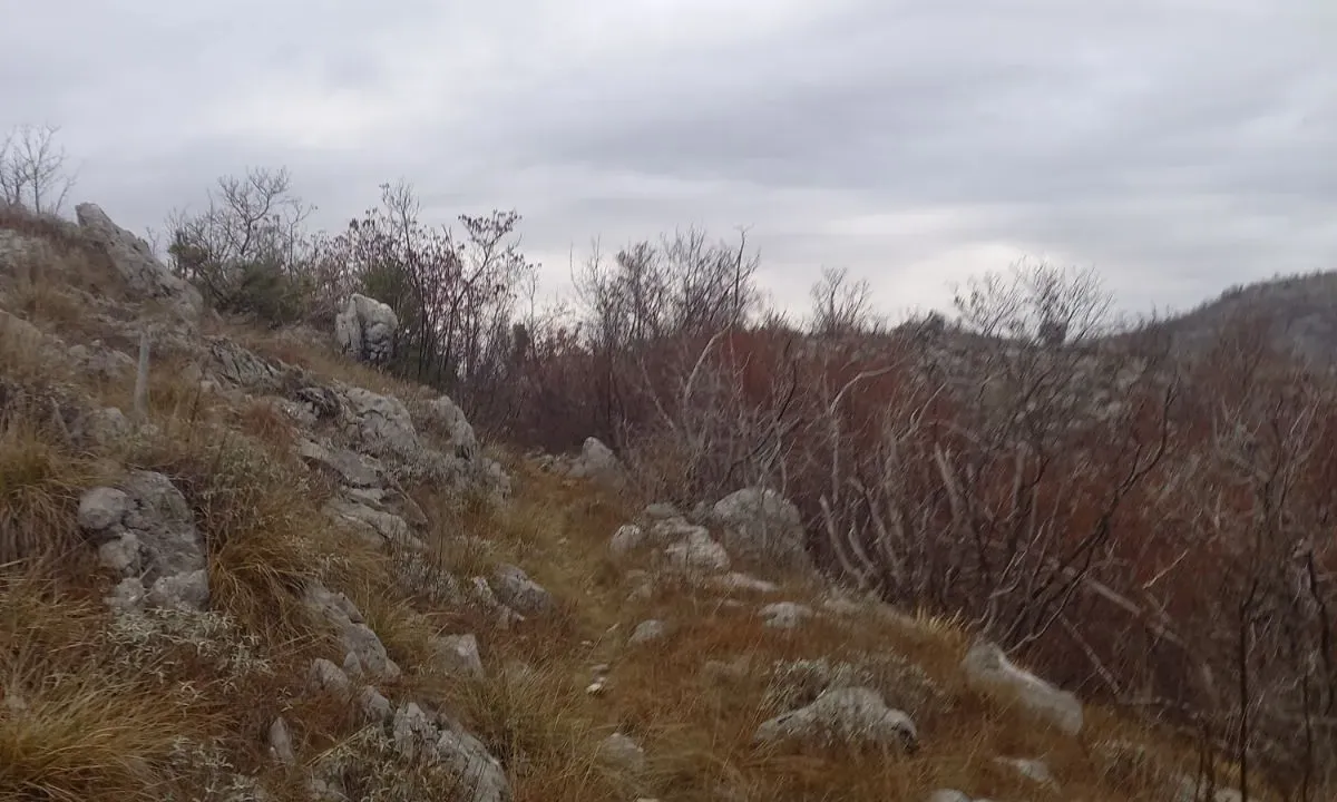 Prodaja, plac, 128000m², Cetinje, Crna Gora