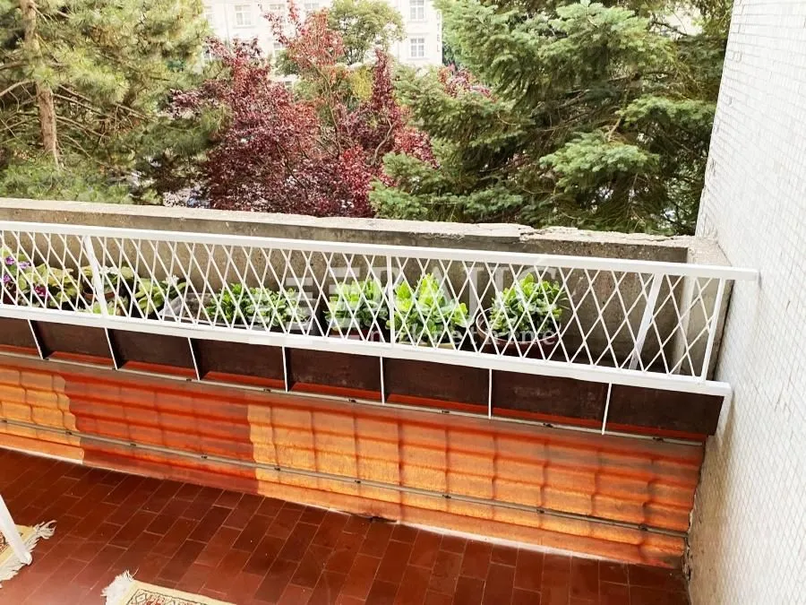 Pogled sa terase na zelenilo i drveće.