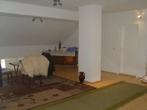 Prodaja, kuća, 360m², Tabane, Jagodina - image 4