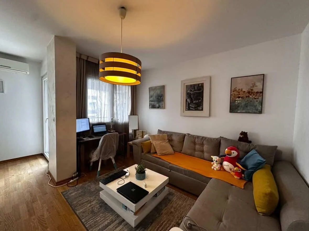 Rent, one bedroom apartment, 46m², Blok 9, Podgorica