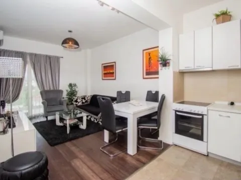 Sale, one bedroom apartment, 46m², Vezirov Most, Podgorica - image 2