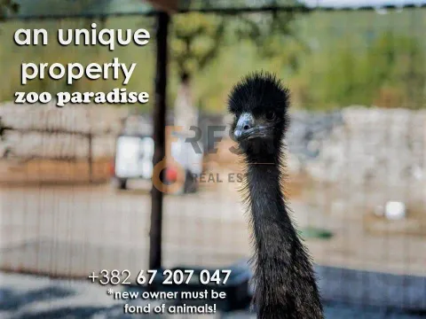 Sale, office space, Ostalo, Podgorica