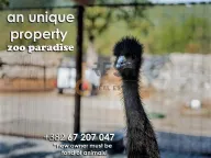 Prodaja, poslovni prostor, Ostalo, Podgorica - image 1