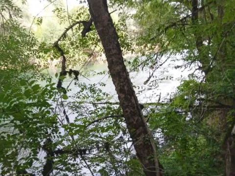 Sale, land lot, 4700m², Danilovgrad, Crna Gora - image 7