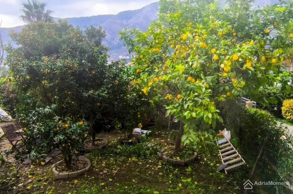 Prodaja, dvosoban stan, 54m², Dobrota, Kotor