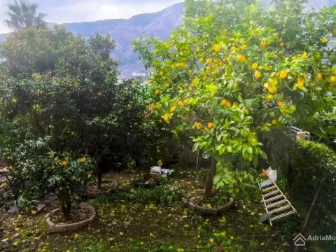 Sale, two bedroom apartment, 54m², Dobrota, Kotor - image 13