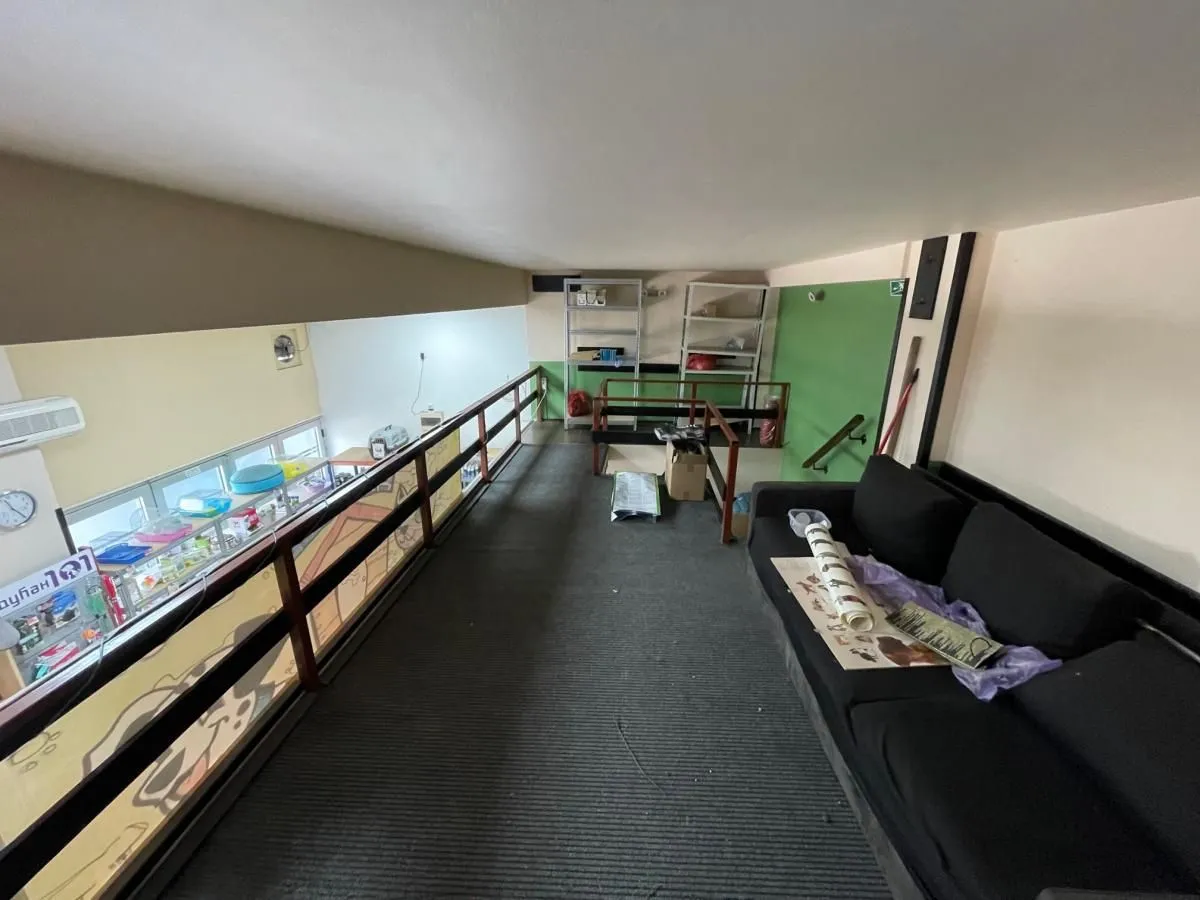 Rent, office space, 40m², Socijalno, Novi Sad Sve Podlokacije