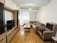 Rent, one bedroom apartment, 44m², Ljubović, Podgorica - image 1