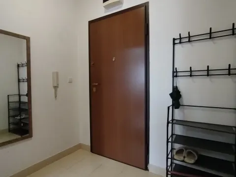 Izdavanje, stan, 36m², Stari Aerodrom, Podgorica - image 4