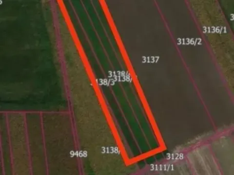 Sale, land lot, 5800m², Stara Pazova, Srbija - image 2