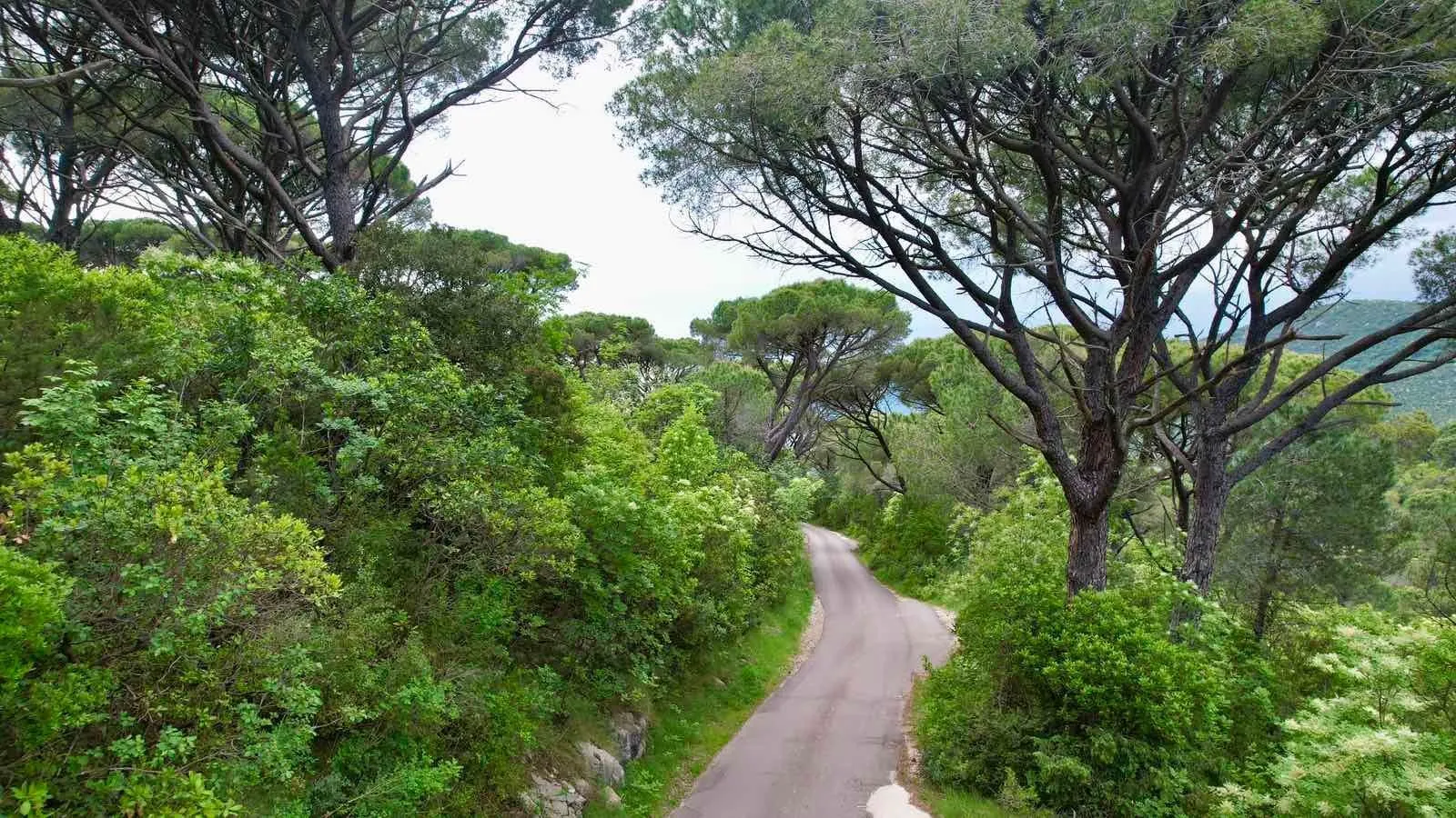 Prodaja, plac, 1046m², Herceg Novi, Crna Gora