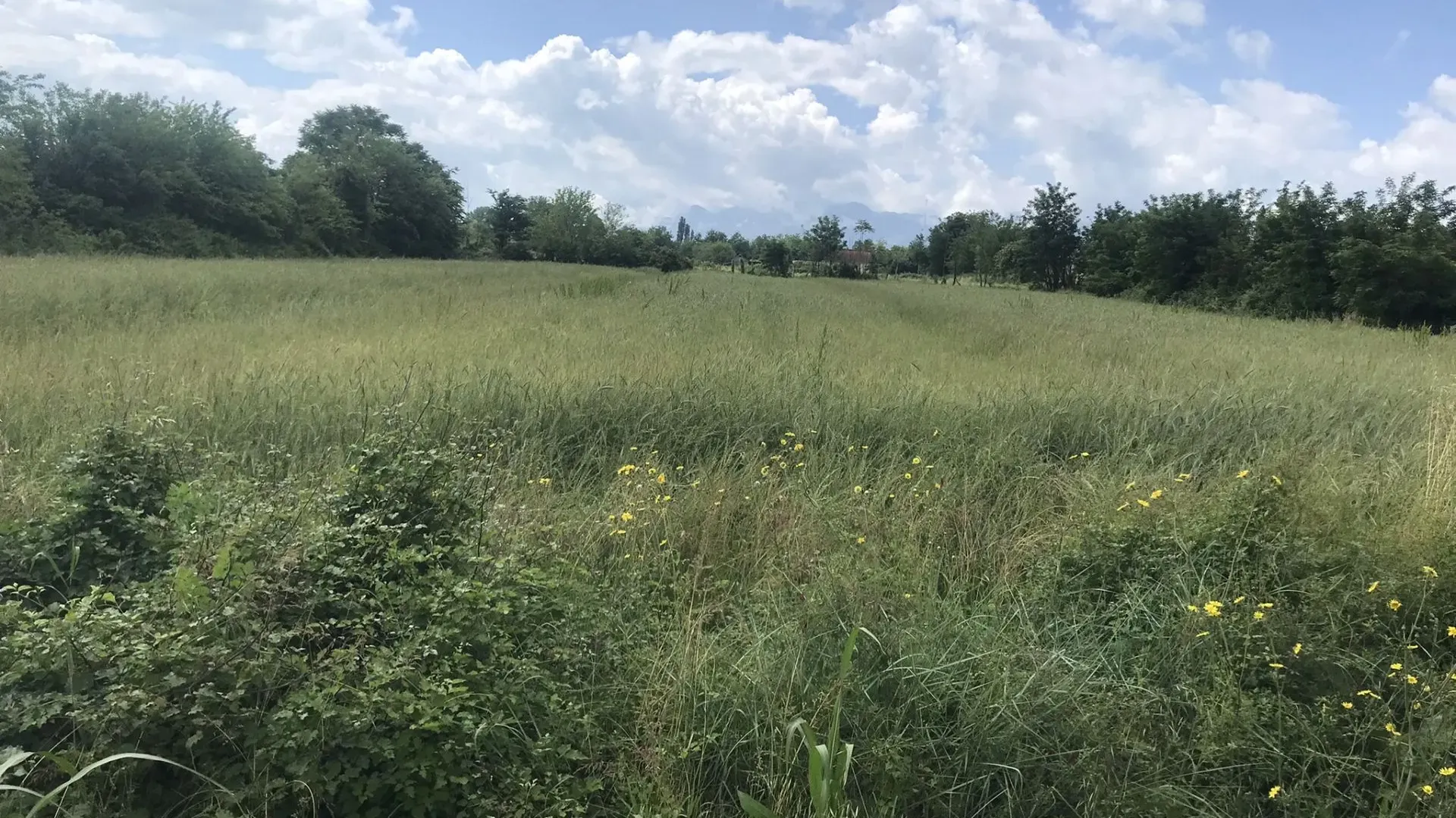 Prodaja, plac, 10000m², Podgorica, Crna Gora