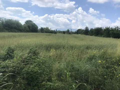 Prodaja, plac, 10000m², Podgorica, Crna Gora - image 2