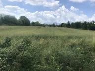 Prodaja, plac, 10000m², Podgorica, Crna Gora - image 2