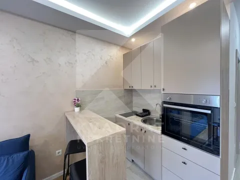 Rent, studio apartment, 20m², Zabjelo, Podgorica - image 4