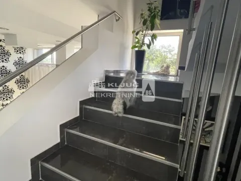 Prodaja, kuća, 520m², Savski Venac, Beograd - image 11