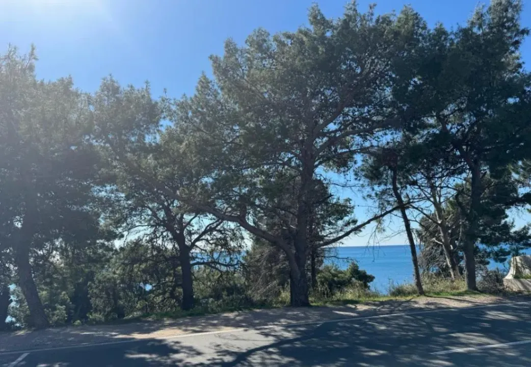 Rent, office space, 100m², Šušanj, Bar