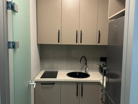 Izdavanje, poslovni prostor, 160m², Vračar Sve Podlokacije, Beograd - image 3