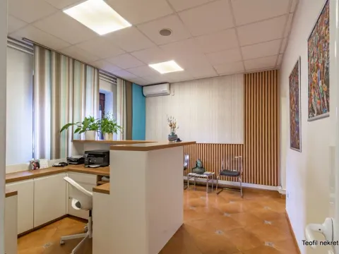 Poslovni prostor in Zemun Cara Dušana