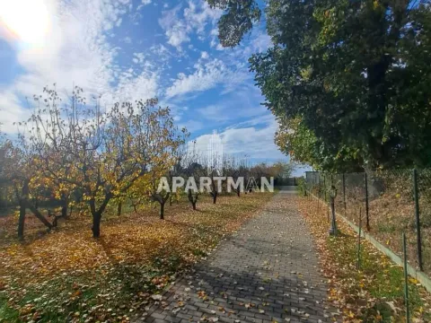 Prodaja, kuća, 75m², Irig, Srbija - image 7