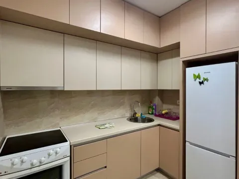 Izdavanje, jednosoban stan, 47m², Zabjelo, Podgorica - image 1