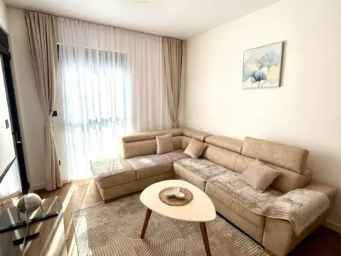 Izdavanje, jednosoban stan, 45m², Centar, Podgorica - image 2