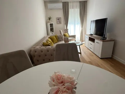 Izdavanje, jednosoban stan, 45m², Central Point, Podgorica - image 2