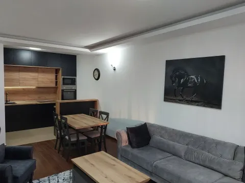 Izdavanje, dvosoban stan, 77m², Master Kvart, Podgorica - image 2