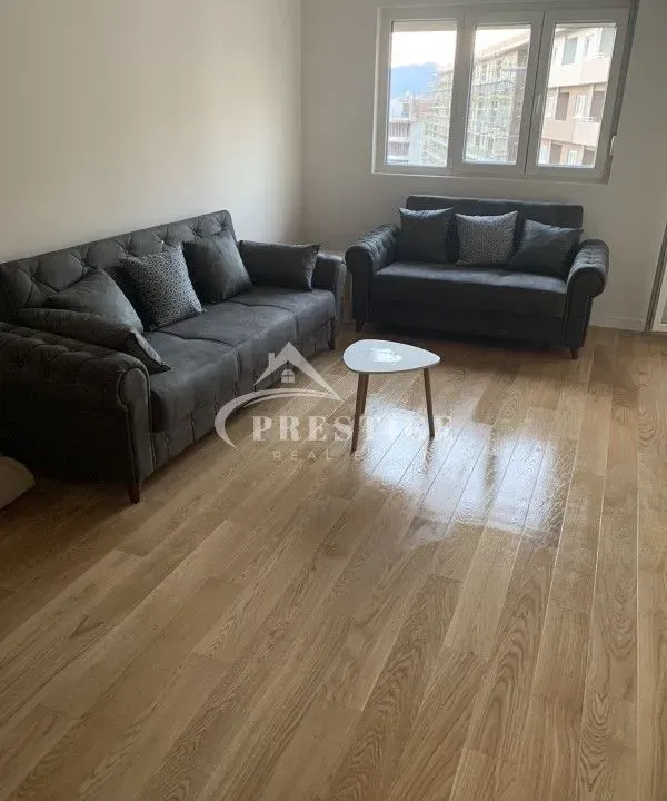 Izdavanje, jednosoban stan, 49m², Central Point, Podgorica