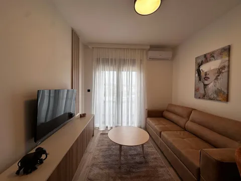 Izdavanje, jednosoban stan, 38m², Zabjelo, Podgorica - image 1