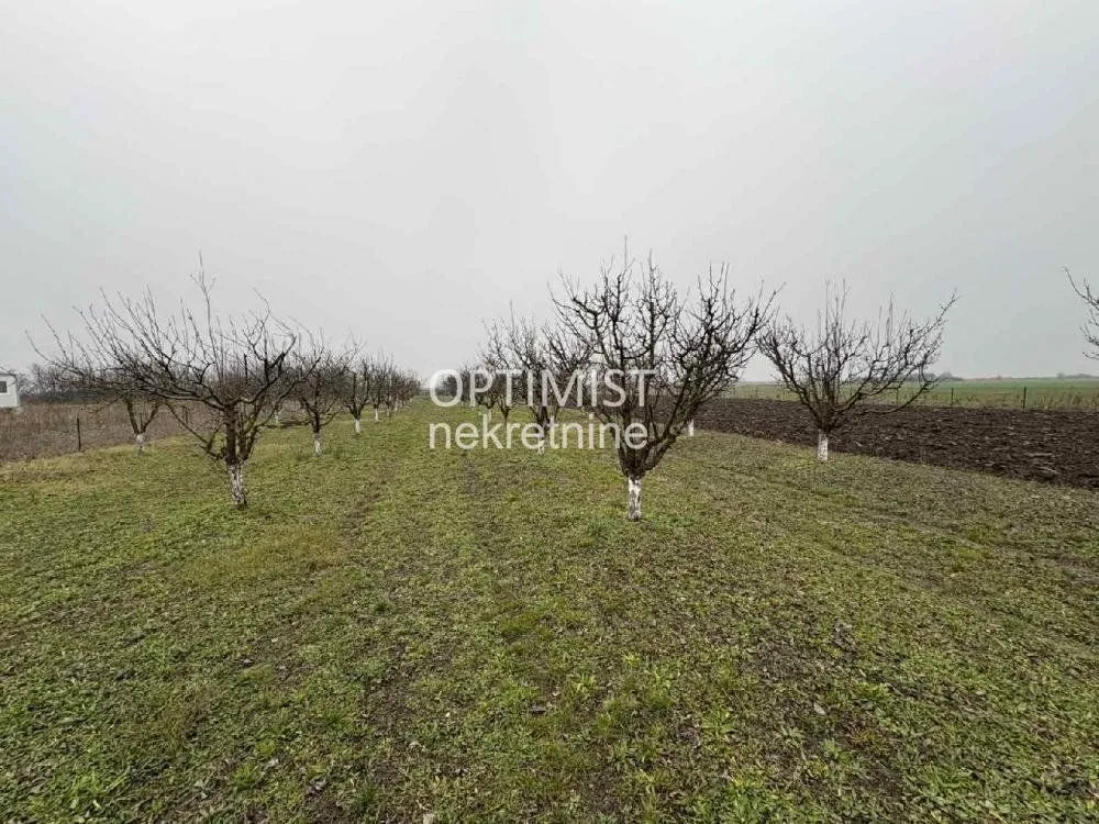 Sale, land lot, 11000m², Zemun Ugrinovci, Zemun Sve Podlokacije