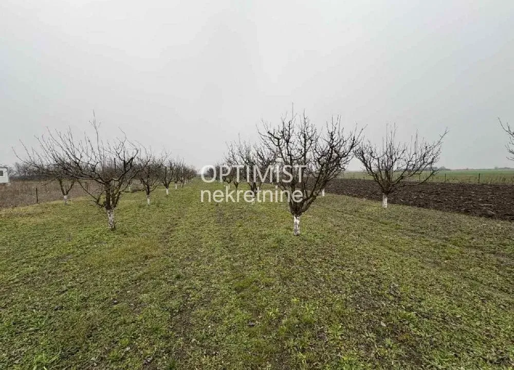 Prodaja, plac, 11000m², Zemun Ugrinovci, Zemun Sve Podlokacije