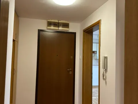 Izdavanje, jednosoban stan, 47m², Zabjelo, Podgorica - image 6