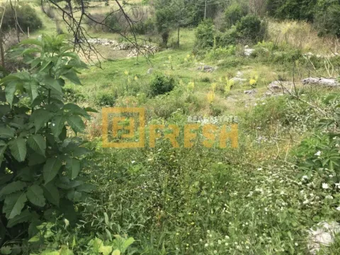 Sale, land lot, 194723m², Cetinje, Crna Gora - image 10